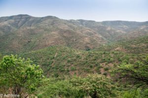 SouthAfrica_BlackLeopard-0002