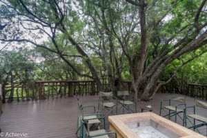 SouthAfrica_BlackLeopard-0009