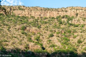 SouthAfrica_BlackLeopard-0017