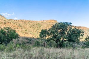 SouthAfrica_BlackLeopard-0018