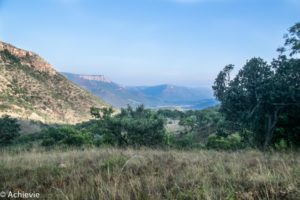 SouthAfrica_BlackLeopard-0019