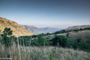 SouthAfrica_BlackLeopard-0020