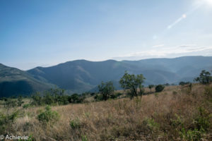 SouthAfrica_BlackLeopard-0021