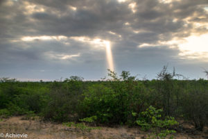 SouthAfrica_Kruger_Day1-0001