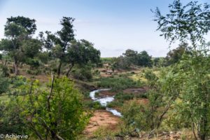 SouthAfrica_Kruger_Day1-0006
