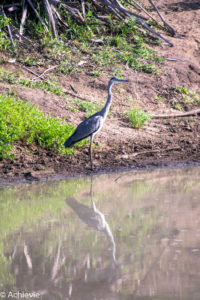 Kruger National Park, South Africa - Self drive from Phalaborwa to Satara