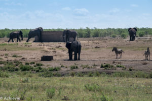 Kruger National Park, South Africa - Self drive from Phalaborwa to Satara