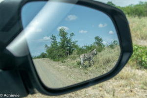 SouthAfrica_Kruger_Day1-0013