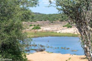 SouthAfrica_Kruger_Day1-0020