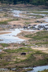 Kruger National Park, South Africa - Self drive from Phalaborwa to Satara