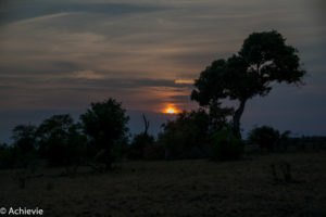 SouthAfrica_Kruger_Day2-0001