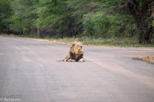 Kruger National Park, South Africa - Self drive from Satara to Berg-en-Dal