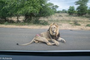 Kruger National Park, South Africa - Self drive from Satara to Berg-en-Dal