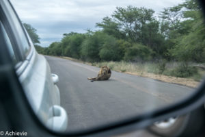 Kruger National Park, South Africa - Self drive from Satara to Berg-en-Dal