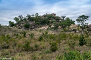 SouthAfrica_Kruger_Day2-0015