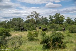 Kruger National Park, South Africa - Self drive from Satara to Berg-en-Dal