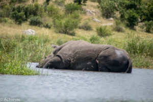 Kruger National Park, South Africa - Self drive from Satara to Berg-en-Dal