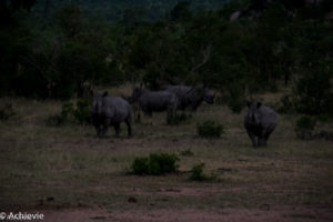 SouthAfrica_Wolhuter_Camp-0003