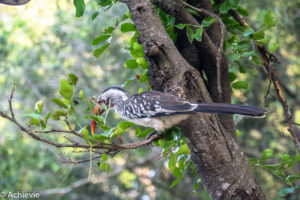 Kruger National Park, South Africa - Wolhuter Wilderness Trail - Camp site