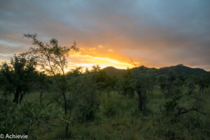 SouthAfrica_Wolhuter_Day1-0001