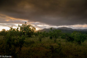 SouthAfrica_Wolhuter_Day1-0002