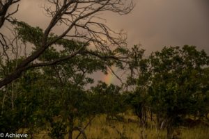 SouthAfrica_Wolhuter_Day1-0003