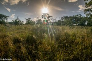 SouthAfrica_Wolhuter_Day1-0006