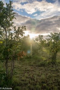 SouthAfrica_Wolhuter_Day1-0008