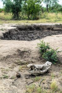 SouthAfrica_Wolhuter_Day1-0011