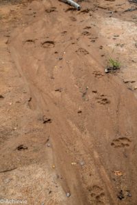 SouthAfrica_Wolhuter_Day1-0012