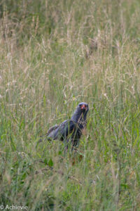 Kruger National Park, South Africa - Wolhuter Wilderness Trail