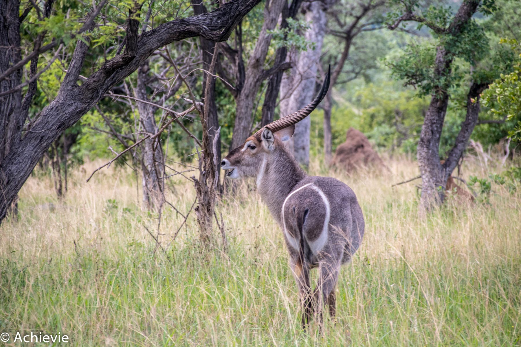 SouthAfrica_Wolhuter_Day1-0016