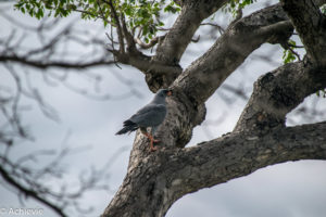 Kruger National Park, South Africa - Wolhuter Wilderness Trail