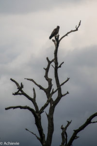 Kruger National Park, South Africa - Wolhuter Wilderness Trail