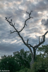 Kruger National Park, South Africa - Wolhuter Wilderness Trail