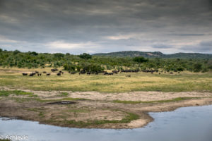 Kruger National Park, South Africa - Wolhuter Wilderness Trail