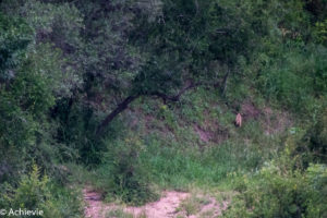 Kruger National Park, South Africa - Wolhuter Wilderness Trail