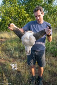 SouthAfrica_Wolhuter_Day2-0013