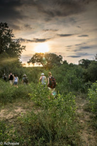 SouthAfrica_Wolhuter_Day2-0014