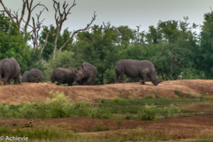 Swaziland_Hlane-0001