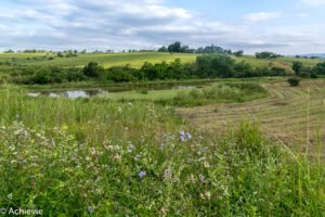 Swaziland_Mlilwane-0006