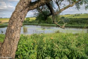 Swaziland_Mlilwane-0007