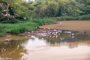 Mlilwane Wildlife Sanctuary, Swaziland (eSwatini)