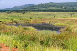Swaziland_Mlilwane-0017