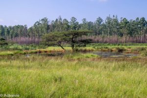 Swaziland_Mlilwane-0018