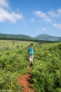 Swaziland_Mlilwane-0019