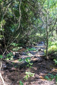 Swaziland_Mlilwane-0020