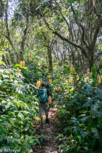 Swaziland_Mlilwane-0021