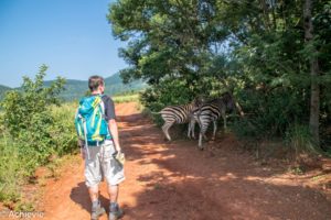 Swaziland_Mlilwane-0022