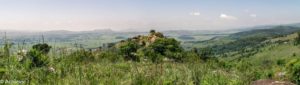 Swaziland_Mlilwane-0028